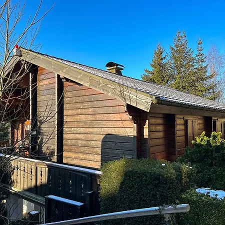 Feriehus Holzhaus Heidedorf