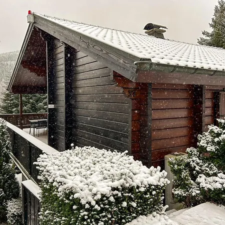 Feriehus Holzhaus Heidedorf Winterberg
