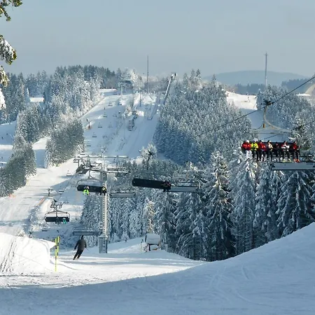 Feriehus Holzhaus Heidedorf Winterberg