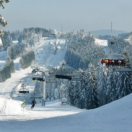 Feriehus Holzhaus Heidedorf Winterberg