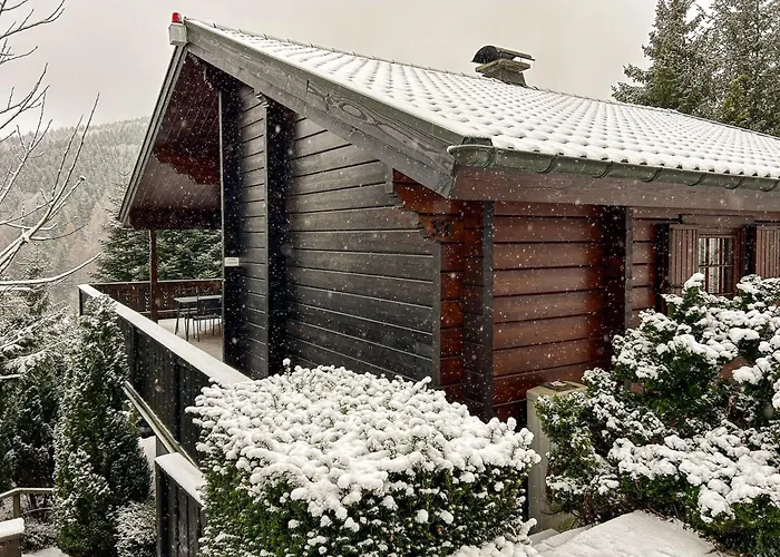 펜션 Holzhaus Heidedorf 빈터베르크